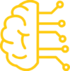 cervello cervello